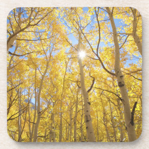 USA, Kalifornien, Sierra Nevada-Gebirge. Herbst Getränkeuntersetzer