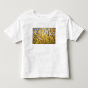 USA, Kalifornien, Sierra Nevada-Gebirge. Herbst Kleinkind T-shirt