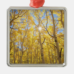 USA, Kalifornien, Sierra Nevada-Gebirge. Herbst Ornament Aus Metall
