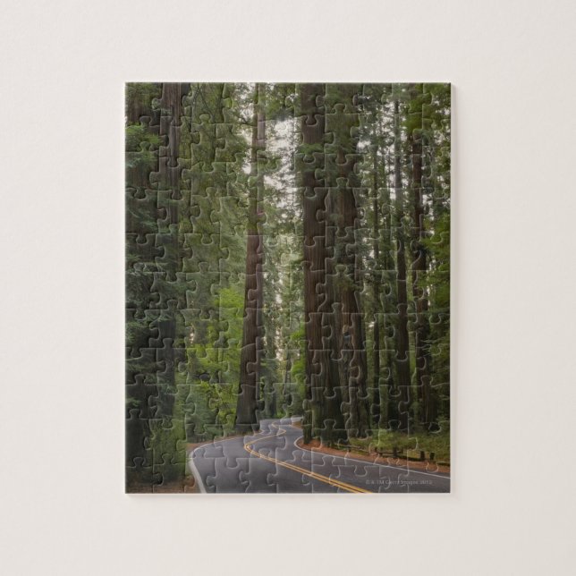USA, Kalifornien, Straße durch Rotholzwald 2 (Vertikal)