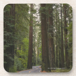 USA, Kalifornien, Straße durch Rotholzwald 2 Untersetzer