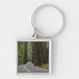 USA, Kalifornien, Straße durch Rotholzwald Schlüsselanhänger