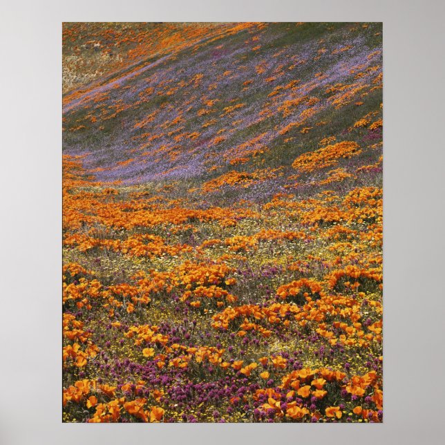 USA, Kalifornien, Tehachapi-Berge, 2 Poster (Vorne)