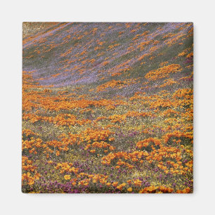 USA, Kalifornien, Tehachapi-Gebirge, 2 Magnet