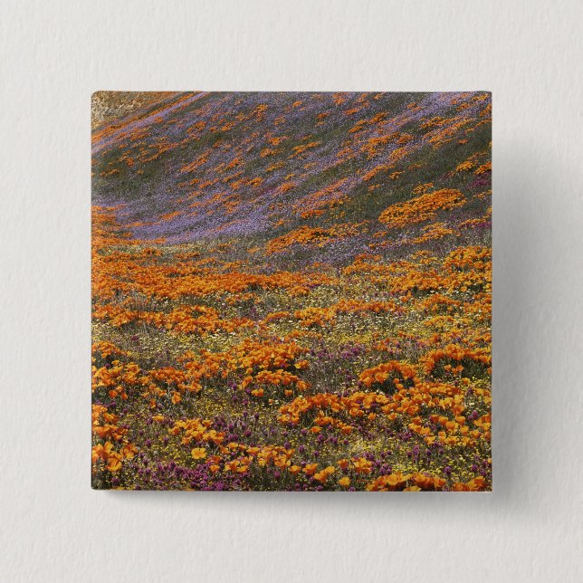 USA, Kalifornien, Tehachapi Mountains, 2 Button (Vorderseite)