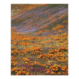 USA, Kalifornien, Tehachapi Mountains, 2 Fotodruck
