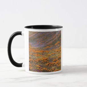USA, Kalifornien, Tehachapi Mountains, 2 Tasse