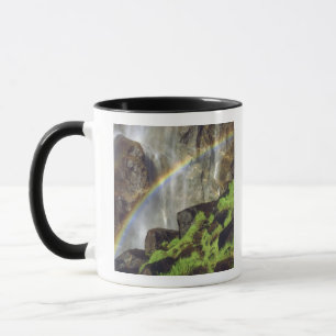 USA, Kalifornien, Yosemite National Park.A Tasse