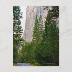 USA, Kalifornien, Yosemite National Park, El 4 Postkarte