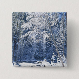 USA, Kalifornien, Yosemite-Nationalpark, 2 Button