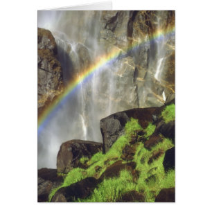 USA, Kalifornien, Yosemite-Nationalpark. Ein