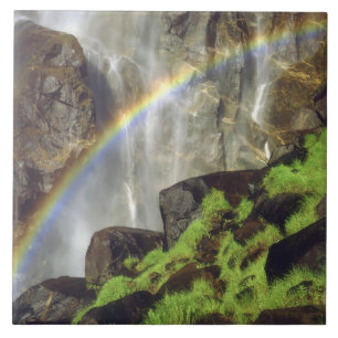 USA, Kalifornien, Yosemite-Nationalpark. Ein Fliese