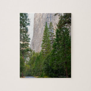 USA, Kalifornien, Yosemite Nationalpark, EL 4