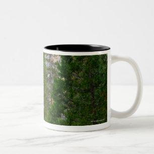 USA, Kalifornien, Yosemite Nationalpark, EL 4 Zweifarbige Tasse