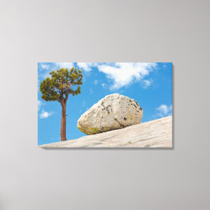 USA, Kalifornien, Yosemite-Nationalpark. Kiefer Leinwanddruck