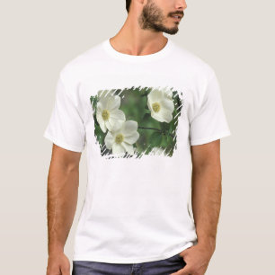 USA, Kalifornien, Yosemite NP, entlang des Merced T-Shirt