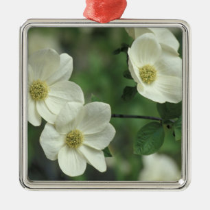 USA, Kalifornien, Yosemite NP, entlang Merced Ornament Aus Metall