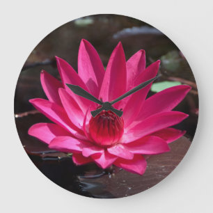 USA, Kansas, Bright Red Water Lilly Große Wanduhr