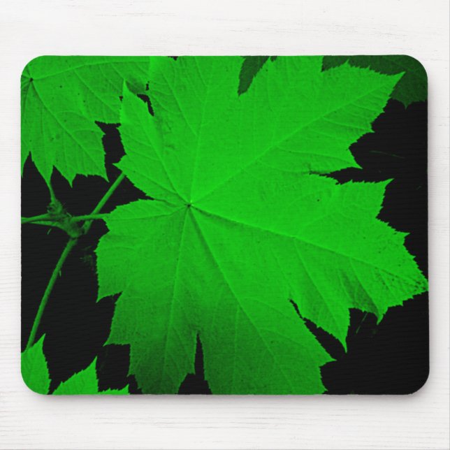 USA, Kansas, Eichenbäume im Hintergrund Mousepad (Vorne)
