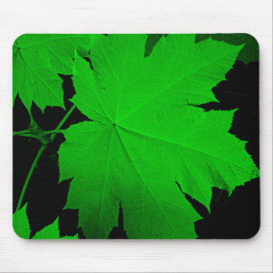 USA, Kansas, Eichenblätter im Licht Mousepad