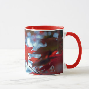 USA, Kansas. Herbstfarben Tasse