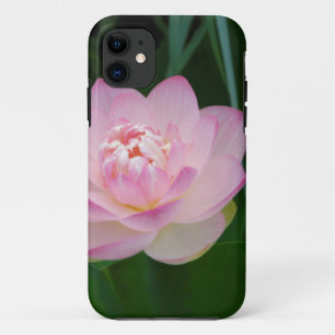 USA, Kansas, Pink Water Lilly iPhone 11 Hülle
