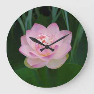 USA, Kansas, Pink Water Lilly Große Wanduhr