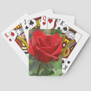 USA, Kansas, Red Rose Spielkarten