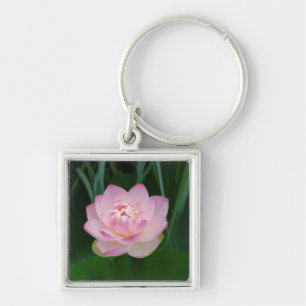USA, Kansas, Rosa Seerose Schlüsselanhänger