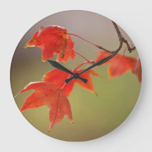 USA, Kansas, Rote Blätter im frühen Herbst Große Wanduhr