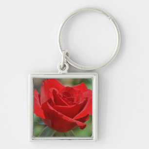 USA, Kansas, Rote Rose Schlüsselanhänger