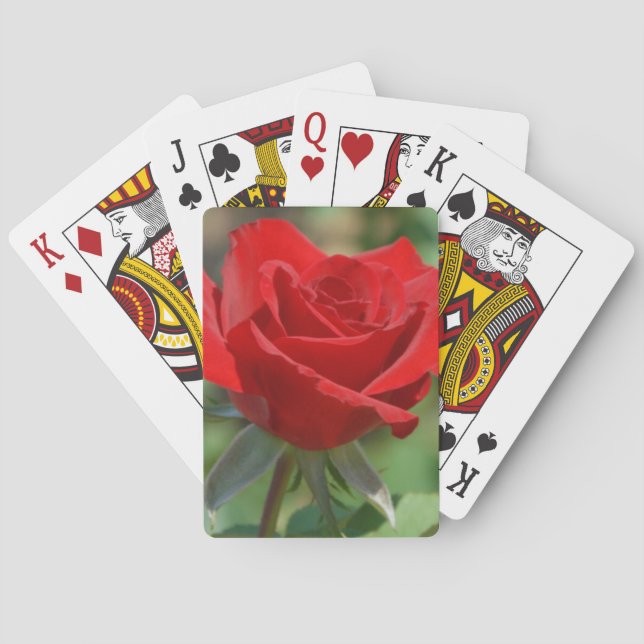 USA, Kansas, Rote Rose Spielkarten (Rückseite)