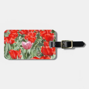 USA, Kansas, Rote Tulpen mit einer rosa Tulpe Gepäckanhänger