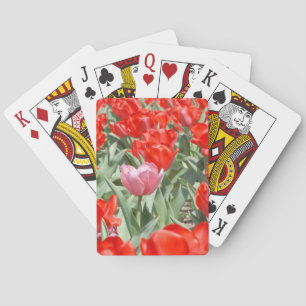 USA, Kansas, Rote Tulpen mit einer rosa Tulpe Spielkarten