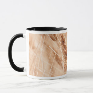 USA, Kansas, Weizen zur Ernte-Zeit Tasse