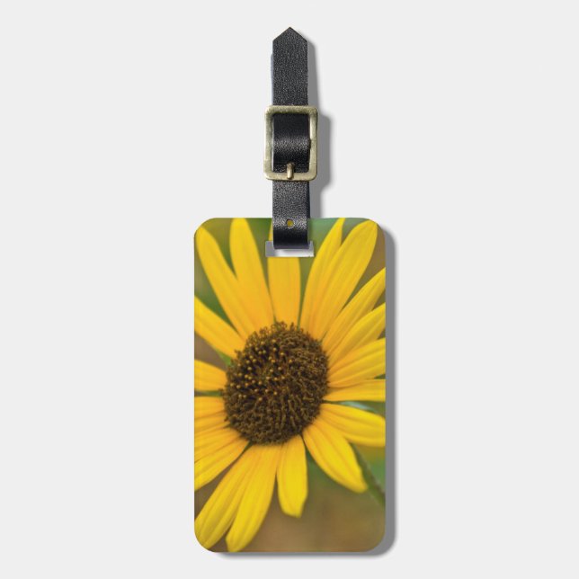 USA, Kansas. Wilde Sonnenblume Gepäckanhänger (Vorderseite vertikal)