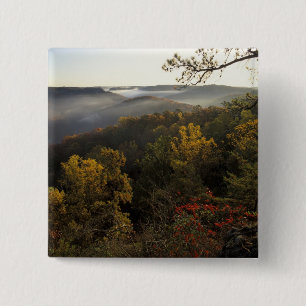 USA, Kentucky. Daniel Boone National Forest. Button