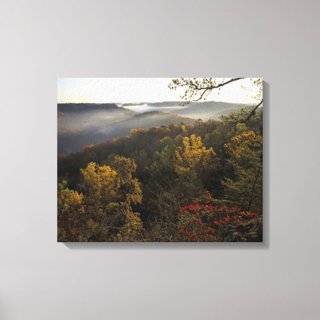 USA, Kentucky Daniel Boone National Forest. Leinwanddruck (Vorderseite)
