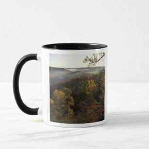 USA, Kentucky. Daniel Boone Nationalforst. Tasse