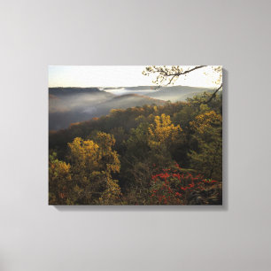 USA, Kentucky. Daniel Boone Nationalwald. Leinwanddruck