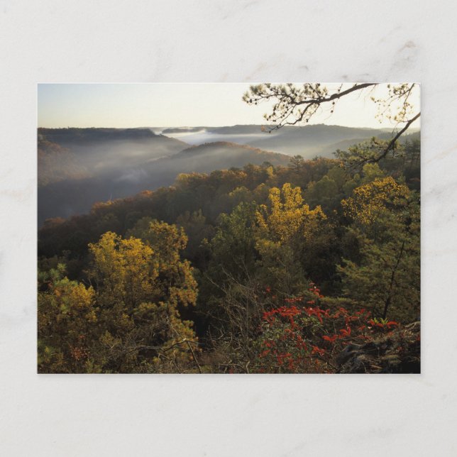 USA, Kentucky. Daniel Boone Nationalwald. Postkarte (Vorderseite)