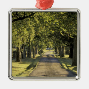 USA, Kentucky, Lexington. Mit Bäumen gesäumte Auff Silbernes Ornament
