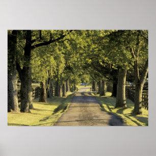 USA, Kentucky, Lexington. Treppenweg, Poster