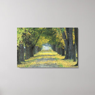 USA, Kentucky, Louisville. Treppenweg Leinwanddruck