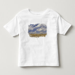 USA, Kentucky, Louisville. Weizenanbau und Kleinkind T-shirt