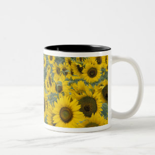 USA, Kentucky Pattern auf dem Gebiet der Kulturwir Zweifarbige Tasse