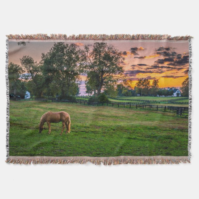 USA, Lexington, Kentucky. Einzelpferd bei Sonnenun Decke (Vorderseite)