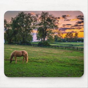 USA, Lexington, Kentucky. Einzelpferd bei Sonnenun Mousepad