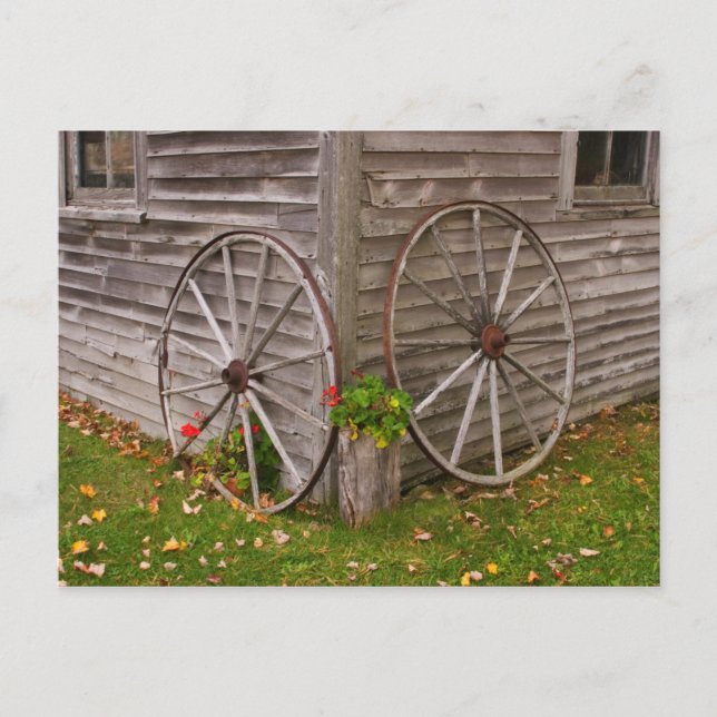 USA, Main. Wagenräder Postkarte (Vorderseite)
