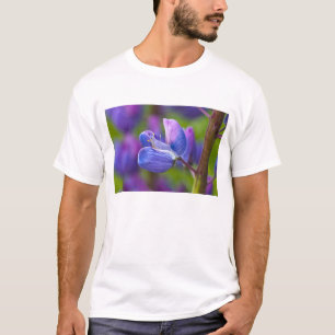 USA, Maine, Acadia National Park. Nahe T-Shirt